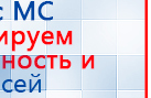 СКЭНАР-1-НТ (исполнение 01 VO) Скэнар Мастер купить в Ярославле, Аппараты Скэнар купить в Ярославле, Медицинская техника - denasosteo.ru